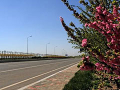 輕紡經(jīng)濟區(qū)市政基礎設施工程輕六路.jpg